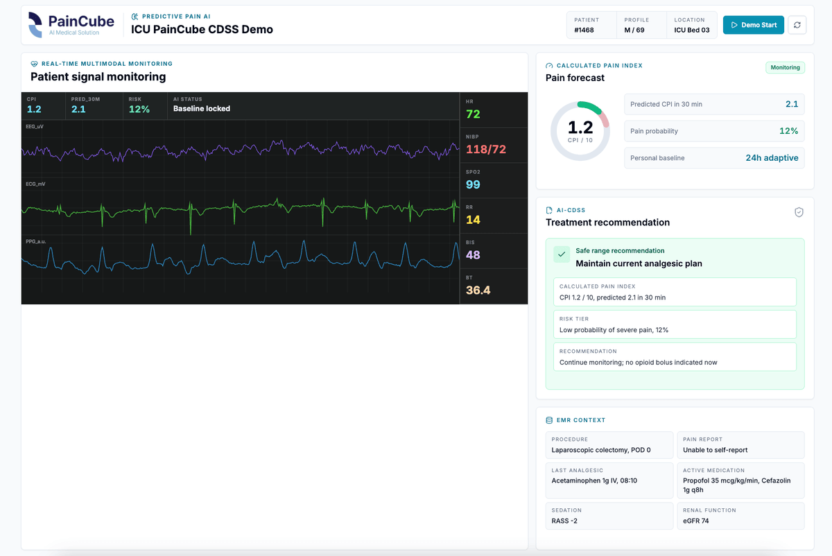 PainCube live demo preview